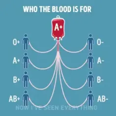 گروه خونی شما چیه؟؟