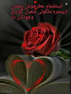 عکس نوشته parvaneh77777 26340898