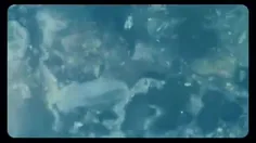 پس...
