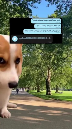 سلام🙂