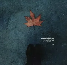 و بین تمام نداشته هایم