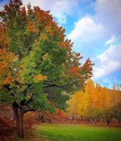 صبح که می‌شود