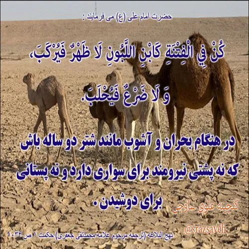 حضرت امام علی ع می فرمایند :