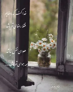 خدا کنـد که رضایم