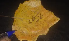 یادگاری از عمو حیدر گل که خیلی خیلی برام عزیزه 😍