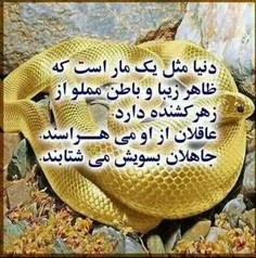 #میرسد روزی که بی هم میشویم