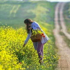 صبح بخیر ... آرزو می‌کنم امروز ، 