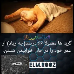 چه ناز خوابیده🤩 بدون فالوو لایک نکنی☺️👍🏼