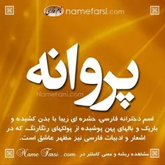 معنی اسم پروانه