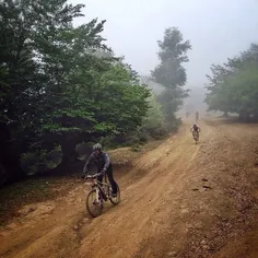 Bicyclists ride along a quiet side road at Mazichal Fores