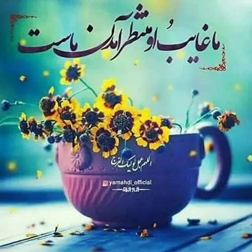 🎀 🍃 زیــنـبـیــــون🍃 🎀