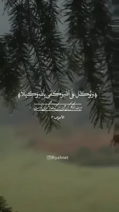 "لا تخشَ دنياكَ إنّ اللهَ كافلها❤️🦋🌼