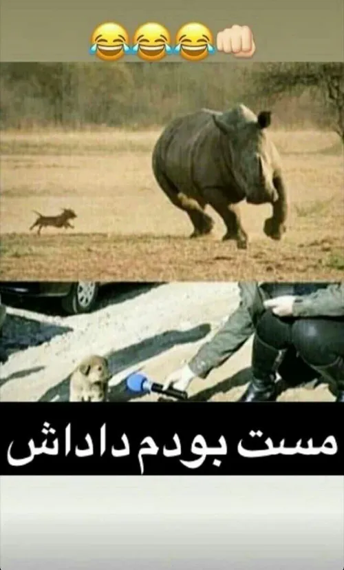 اقای چت