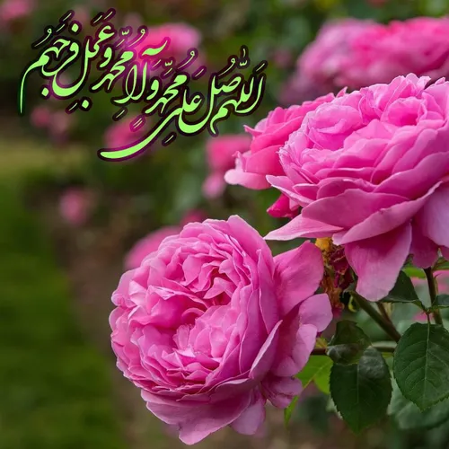 🌸 🔴 «رفع عطش قیامت»