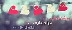 هر روز که بیدار می شوم وحشت زده قاب خاطرات ذهنم را مرور م