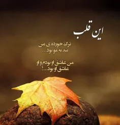 این قلب ترک خورده ی من......