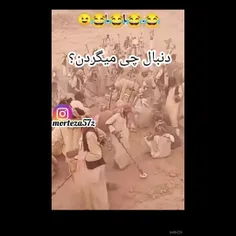 دنبال چی میگردن.............فالوکن