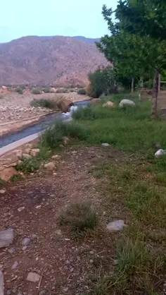 سلام صبح زیباتون بخیر و خوشی 😍