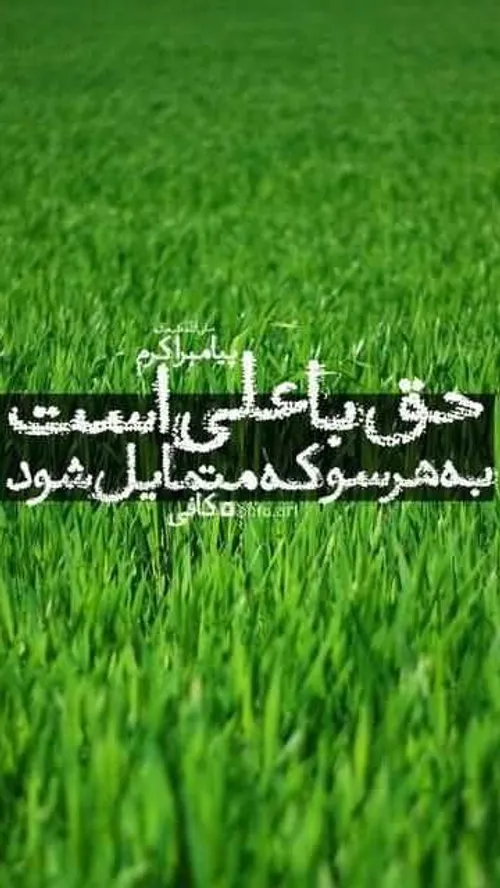 نرسد اگر به علی کسی به کجا رود؟