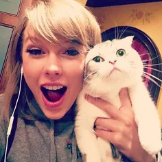 #taylor