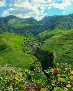 *♦️دره ارغوان یا چریش، خراسان رضوی*