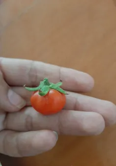 گوجه کوچکِ دوست داشتنیِ من 🍅