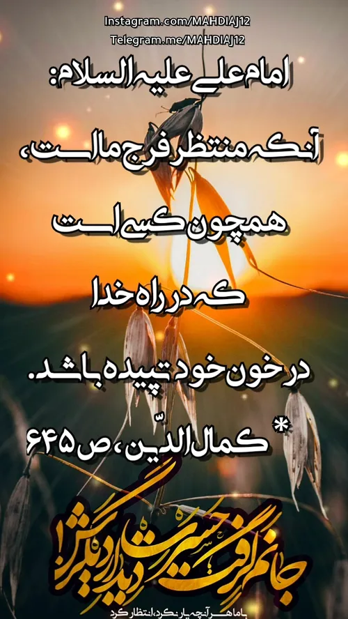 امام علی علیه‏ السلام: