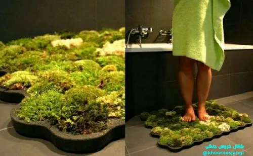 ایده جالب استفاده از خزه طبیعی در رختکن حمام 😍 😍 😍