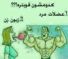 به نظر شما کدوم؟؟