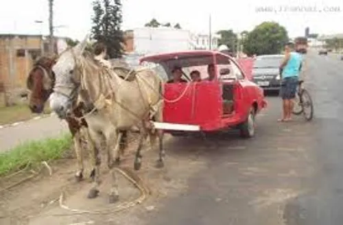 اخبار روز ایران: