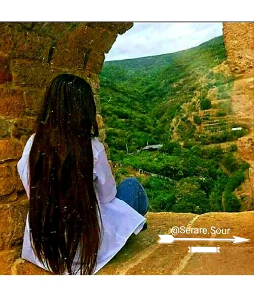 " سی.پی.آر " بیمارستان جای جالبی ست، آدم هایی که بیرون از آن تند و تند قدم میزنند ،گریه میکنند ،دعا میکنند ،حالشان بهتر از بیماری که برای زنده ماندن با دستگاه شوک دست و پنجه نرم میکند نیست.