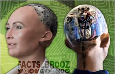 محققان برای ربات‌ها مغز طراحی میکنند !