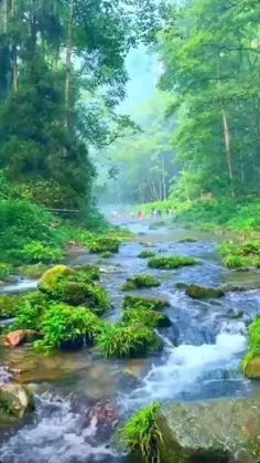 🌺در اولین عصر ماه مرداد