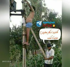 همکاریرو وبرم من....