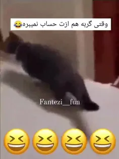 من دیگه شمارو نمیبینم من دیگه شمارو نمیبینم😆