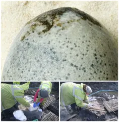 قدیمی‌ترین تخم مرغ جهان کشف شد