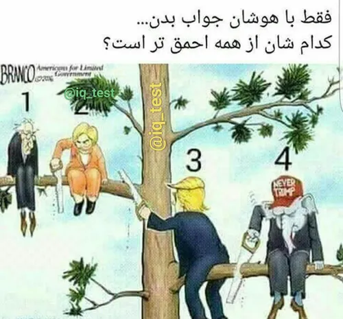 کدامشان از همه احمق تر است ؟؟؟؟؟؟؟