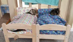 نمونه دیگر از تختخواب برای حیوانات خانگی     o_O