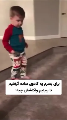 همینقدر قانع هستم 