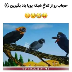 نصف شماست😂 😂 😂 😂