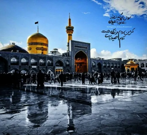 امام رضا(ع)