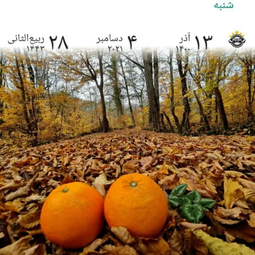 🍁🌼اول هفته تون عالی