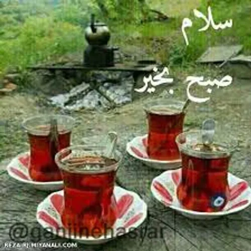 🌸 🍃 صبح یعنی آغاز