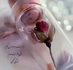 عکس نوشته maryyy 33684920