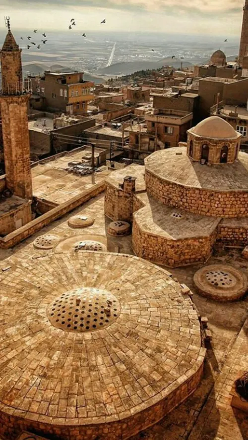 معماری