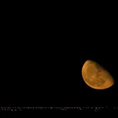 ببین سراغ مرا هیچ کس نمی گیرد