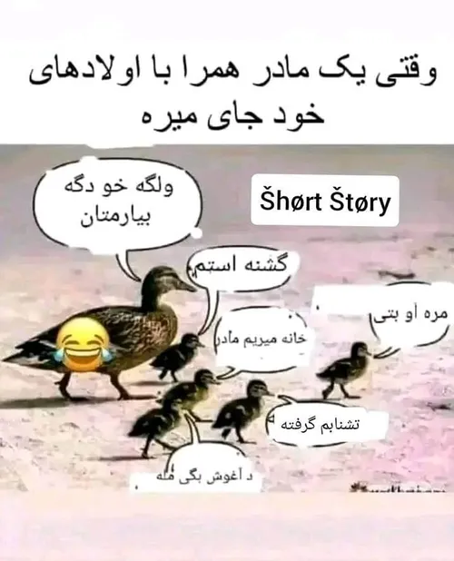 همش یک طرف