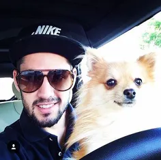 isco