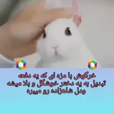 #قلب_من  