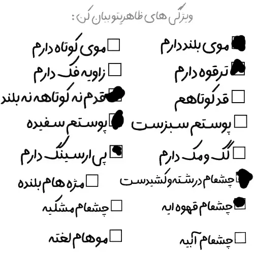 اره دیگه